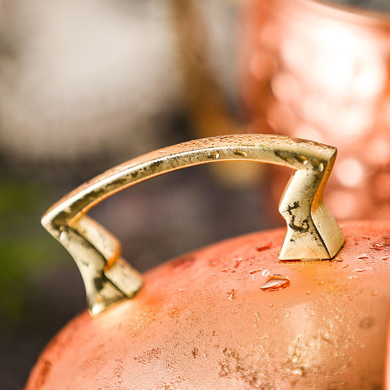 6 stuks 60 ml muilezel koperen - Mule Copper Mug recensie en prijs
